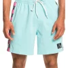 Outlet 💯 Quiksilver Original Arch Volley 17Nb Boardshort In Angel Blue ⭐