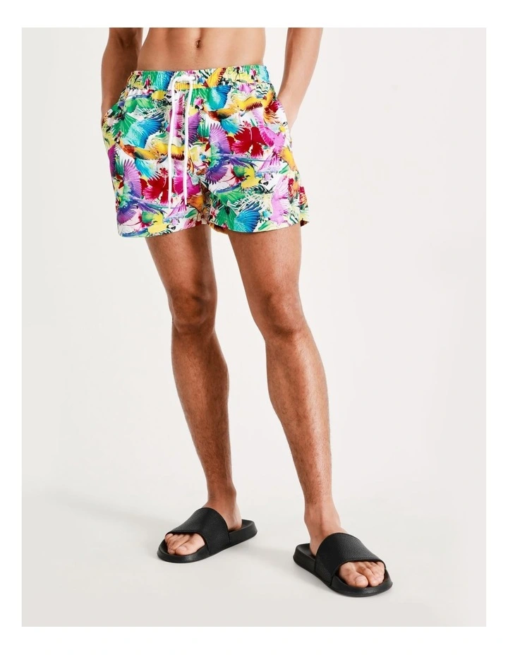 Top 10 π Kenji Swim Parrots On The Go Swim Short In Assorted β¨ 6 Top 10 π Kenji Swim Parrots On The Go Swim Short In Assorted β¨ - Image 4