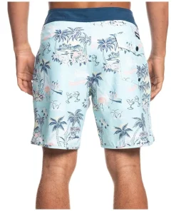 Buy 🧨 Quiksilver Surfsilk Mystic Sessions 18 Boardshorts Light Blue 🎁 -Maddox Shop unnamed file 536