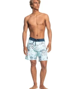 Buy 🧨 Quiksilver Surfsilk Mystic Sessions 18 Boardshorts Light Blue 🎁 -Maddox Shop unnamed file 537