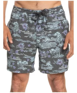 Best reviews of π Quiksilver Volley 17" Boardshort In Grey β¨