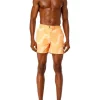 Buy 🎁 Coast Clothing Co Sydney Boardshorts Coffs In Orange 🧨 -Maddox Shop unnamed file 793
